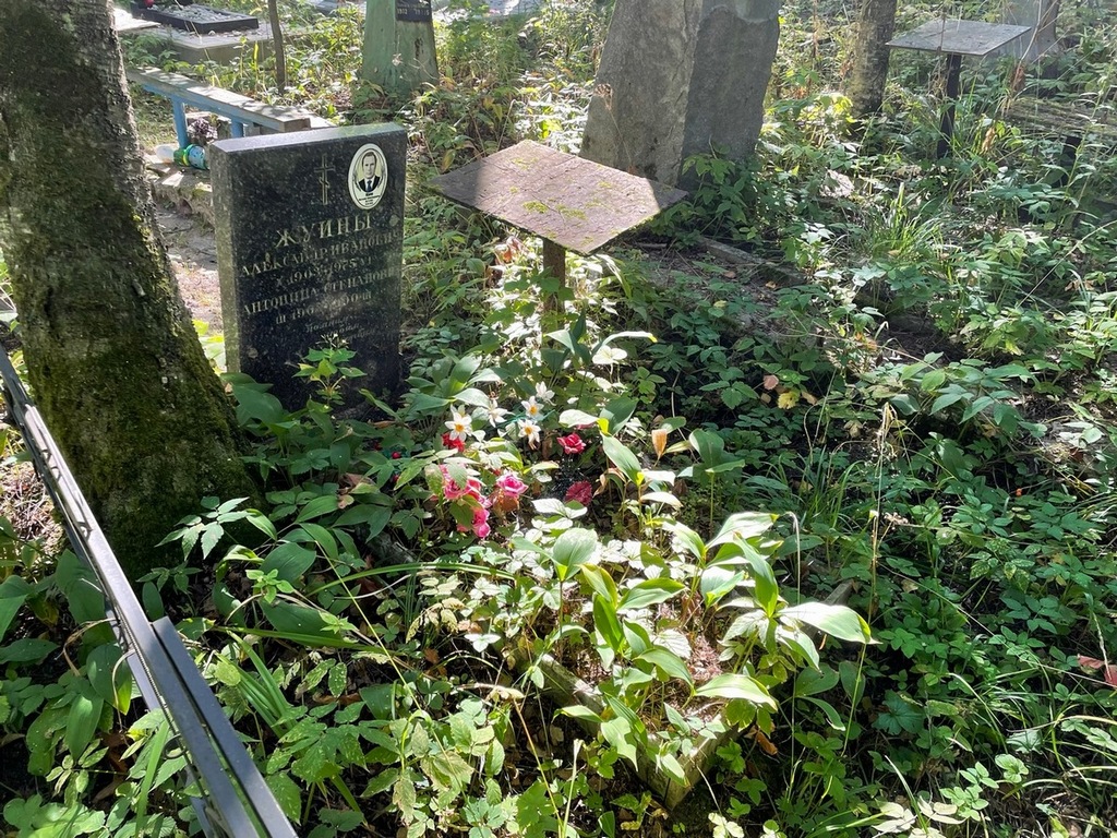Жуин Александр Иванович