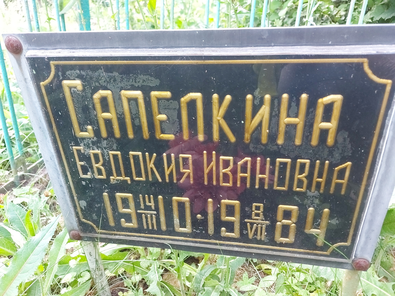 Сапелкина Евдокия Ивановна