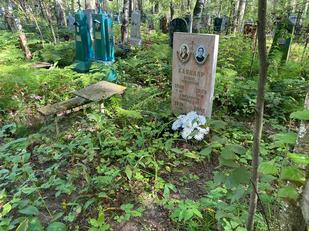 Каяндер Анна Ивановна