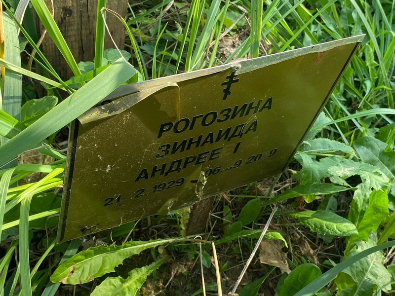 Рогозина