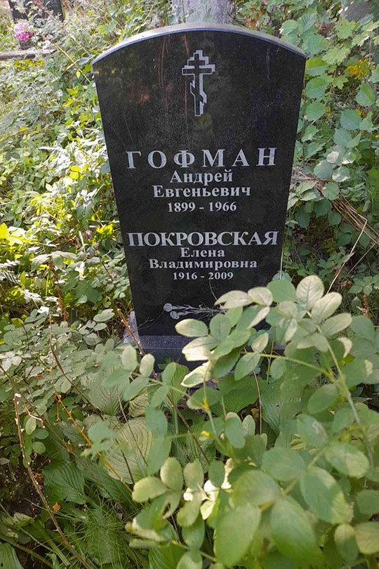 Гофман Андрей Евгеньевич