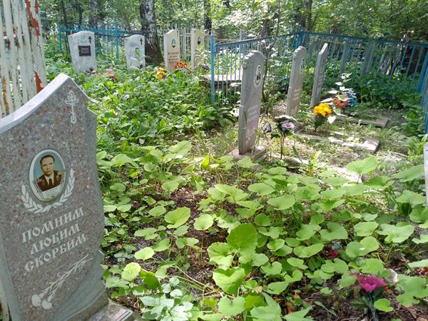 Федоров Сергей Юрьевич