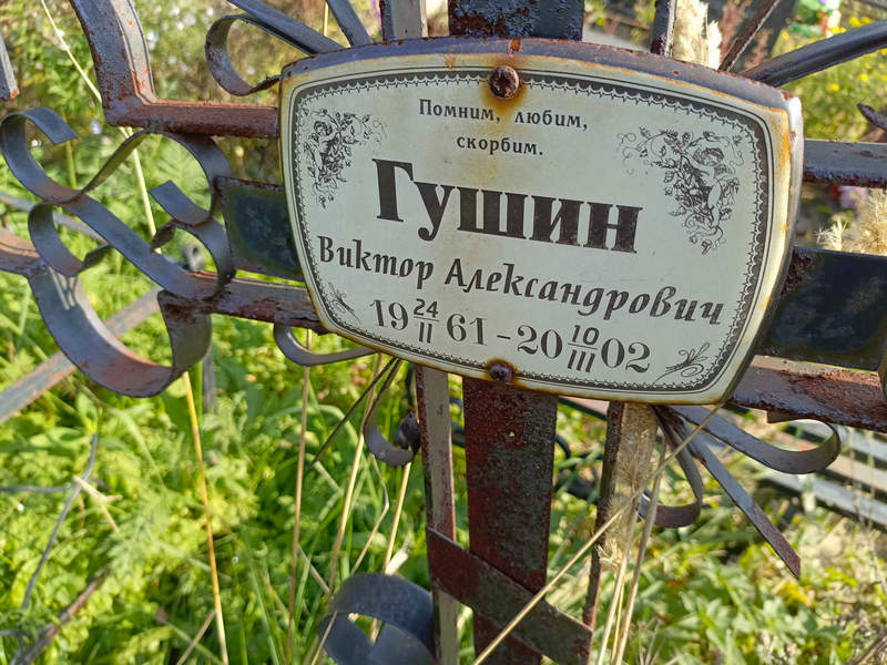 Гушин