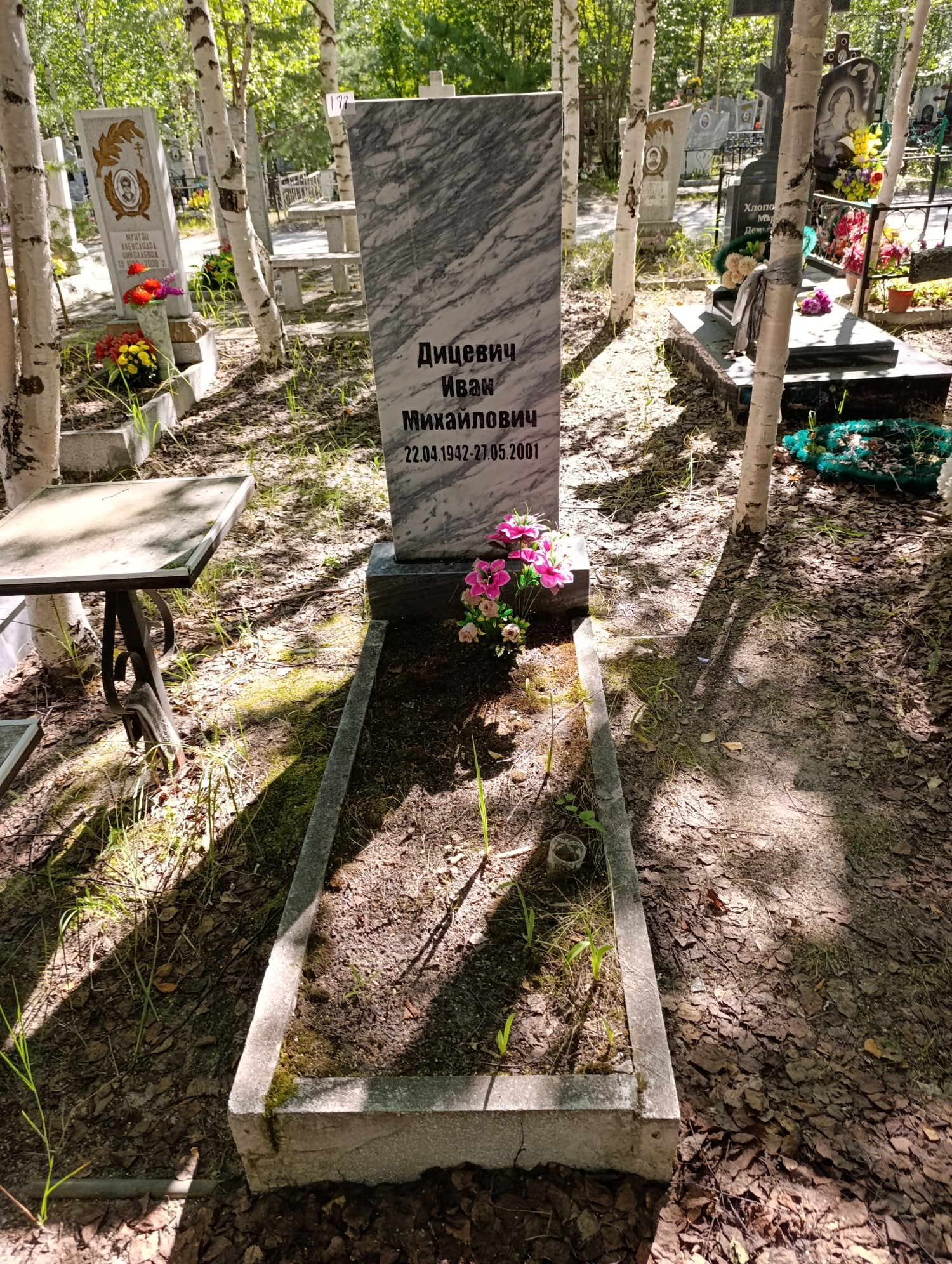 Дитевич Ива Ммихайлович