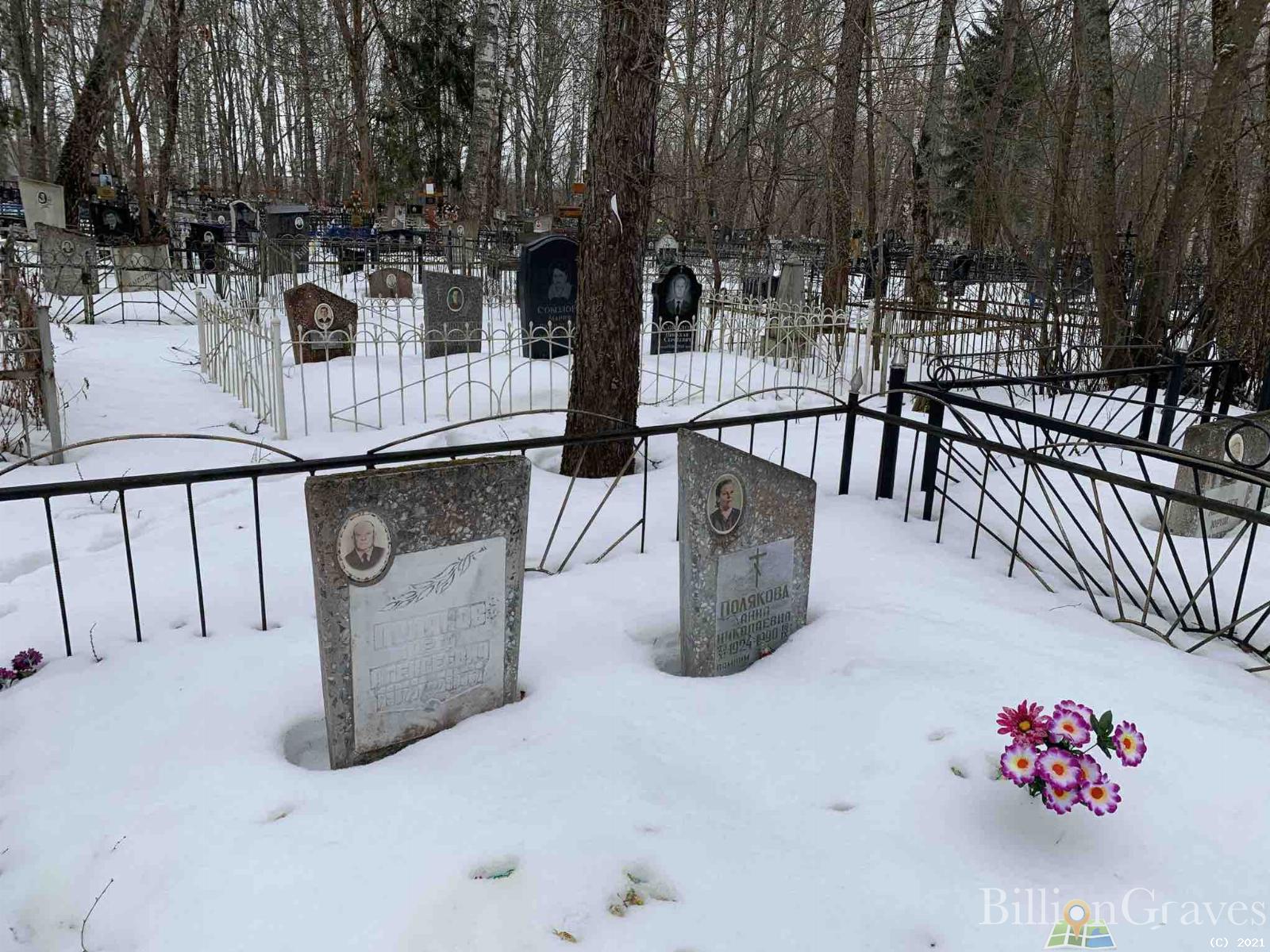 Полякова Анна Николаевна