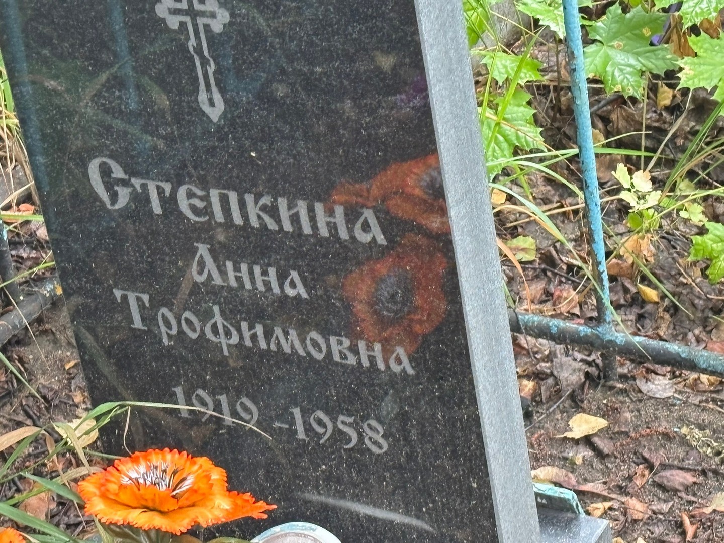 Степкина