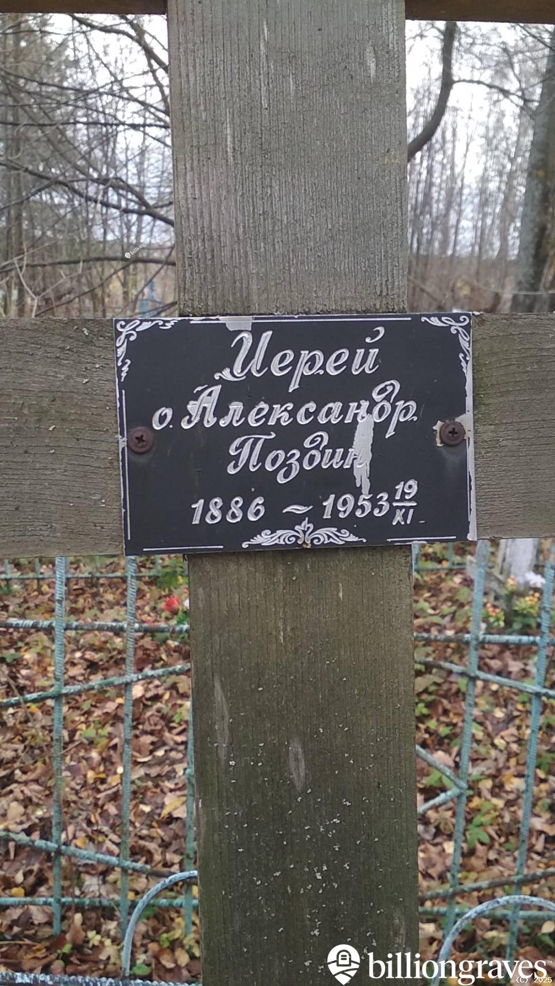 Поздин Александр