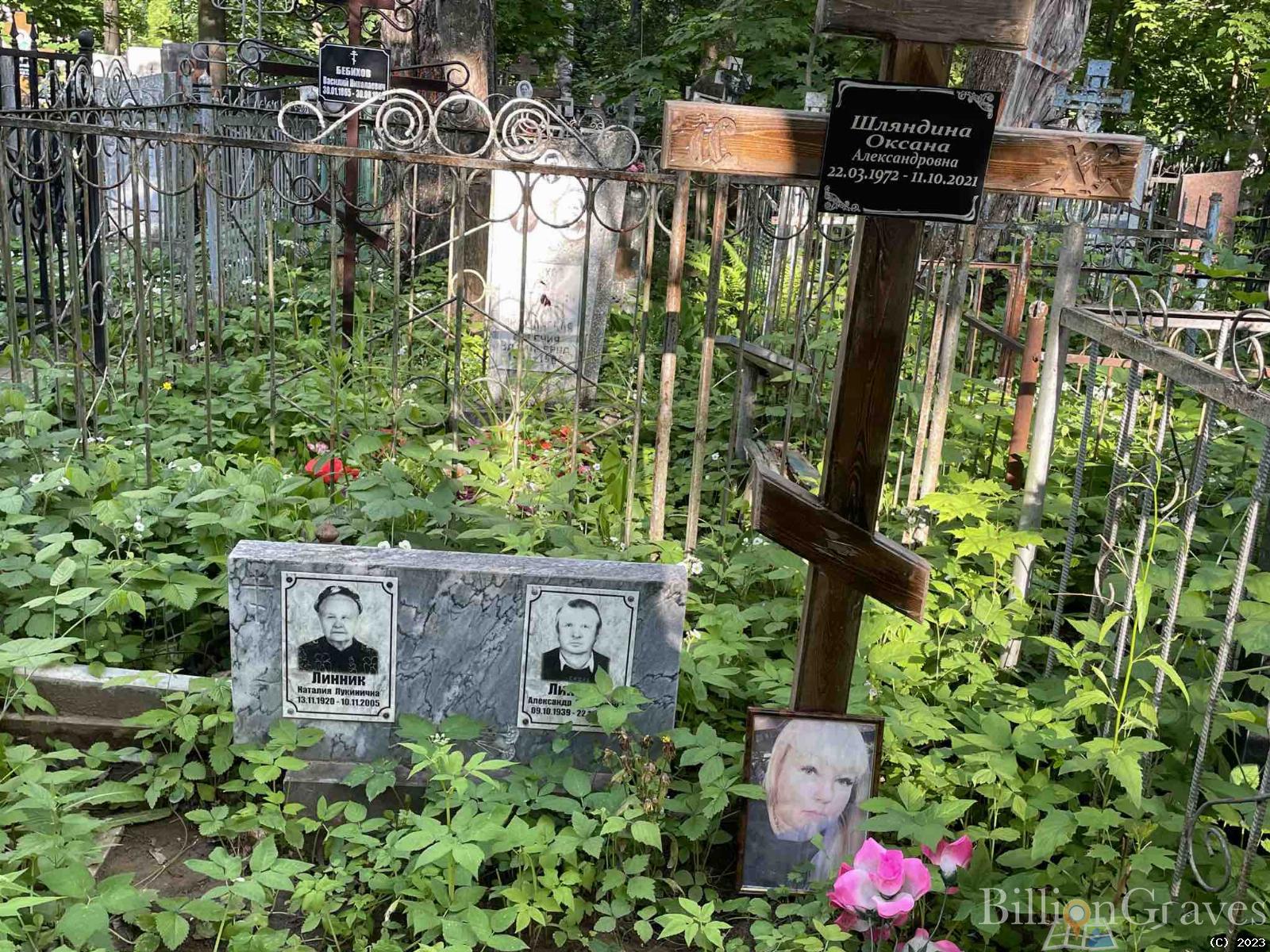 Линник Александр Андреевич