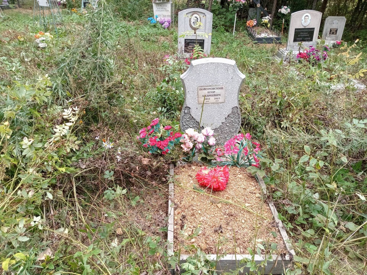 Понуровский Егор Андреевич