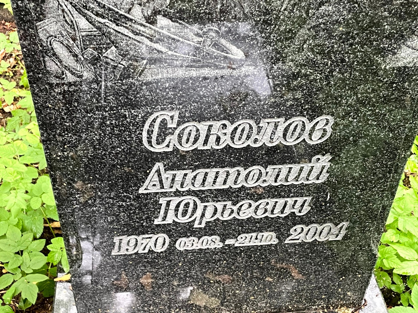 Соколов