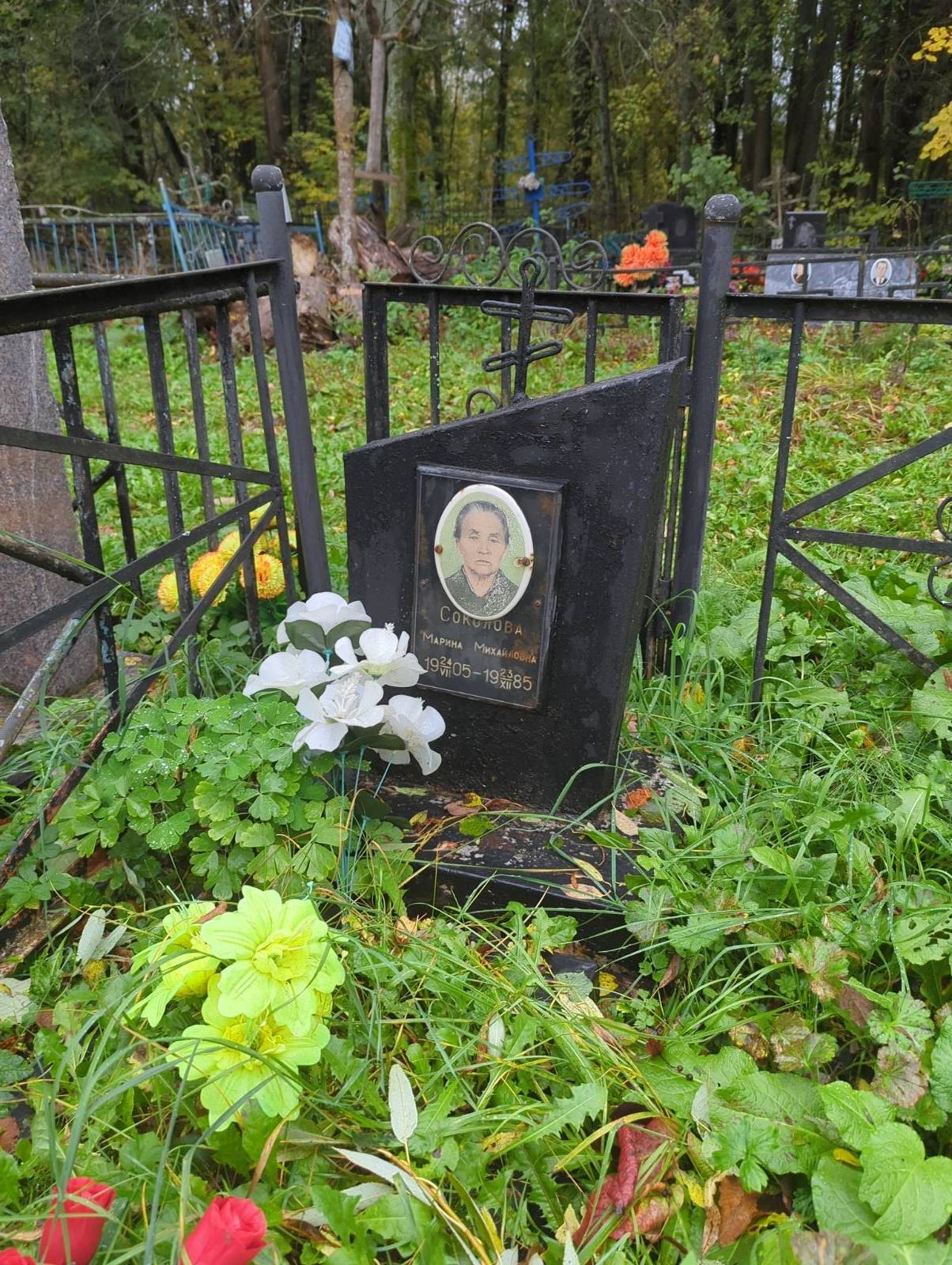 Соколова Марина Михайловна