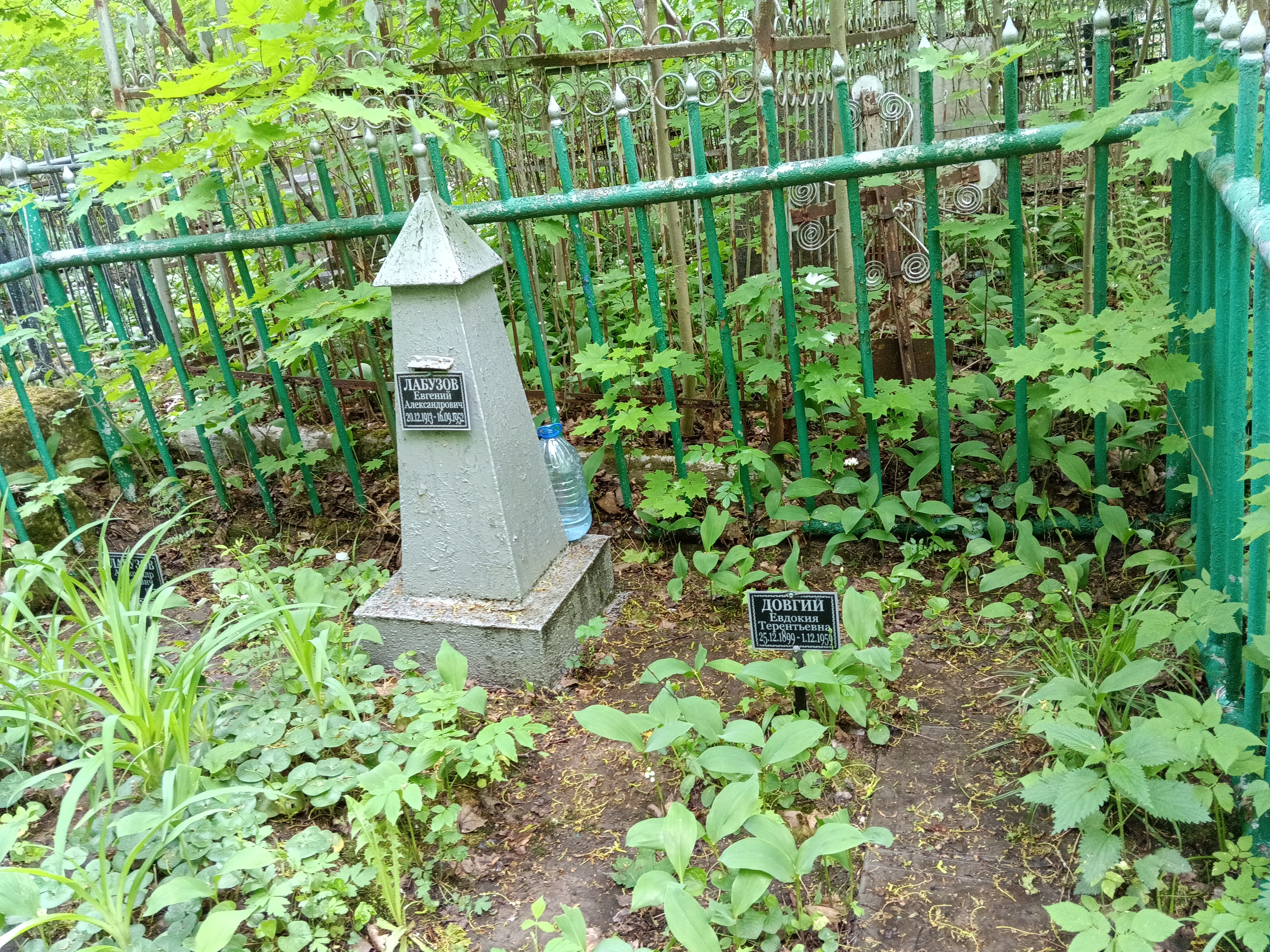 Довгий Евдокия Терентьевна