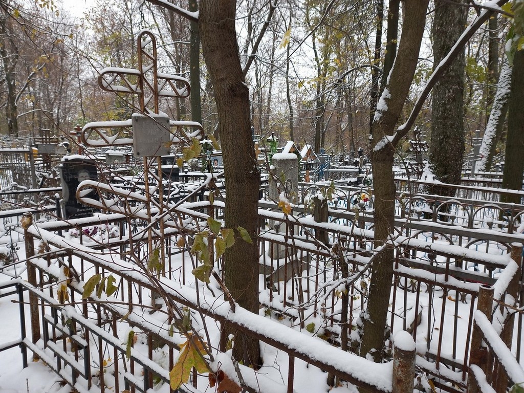 Кабанова Н А