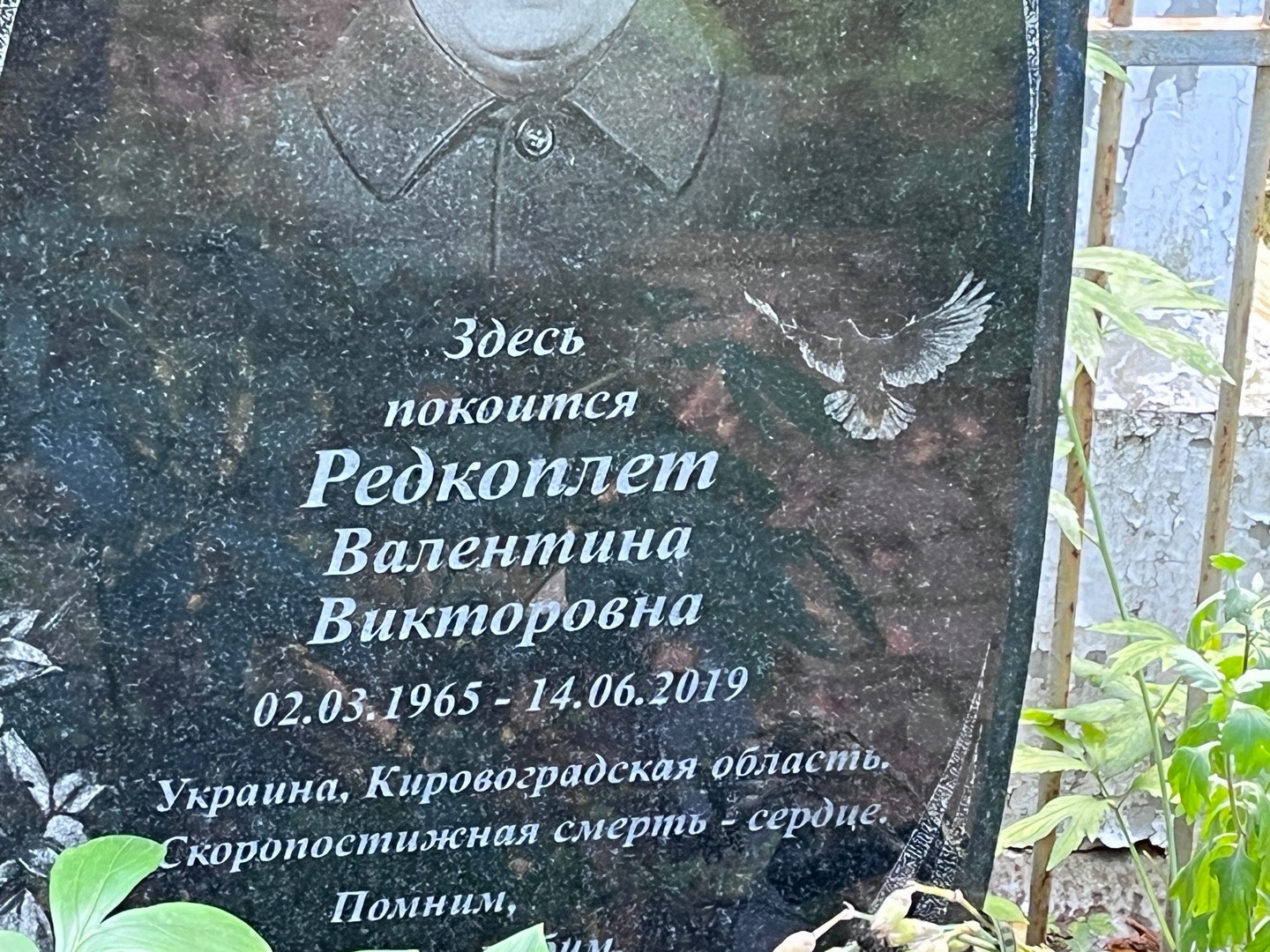 Редкоплет