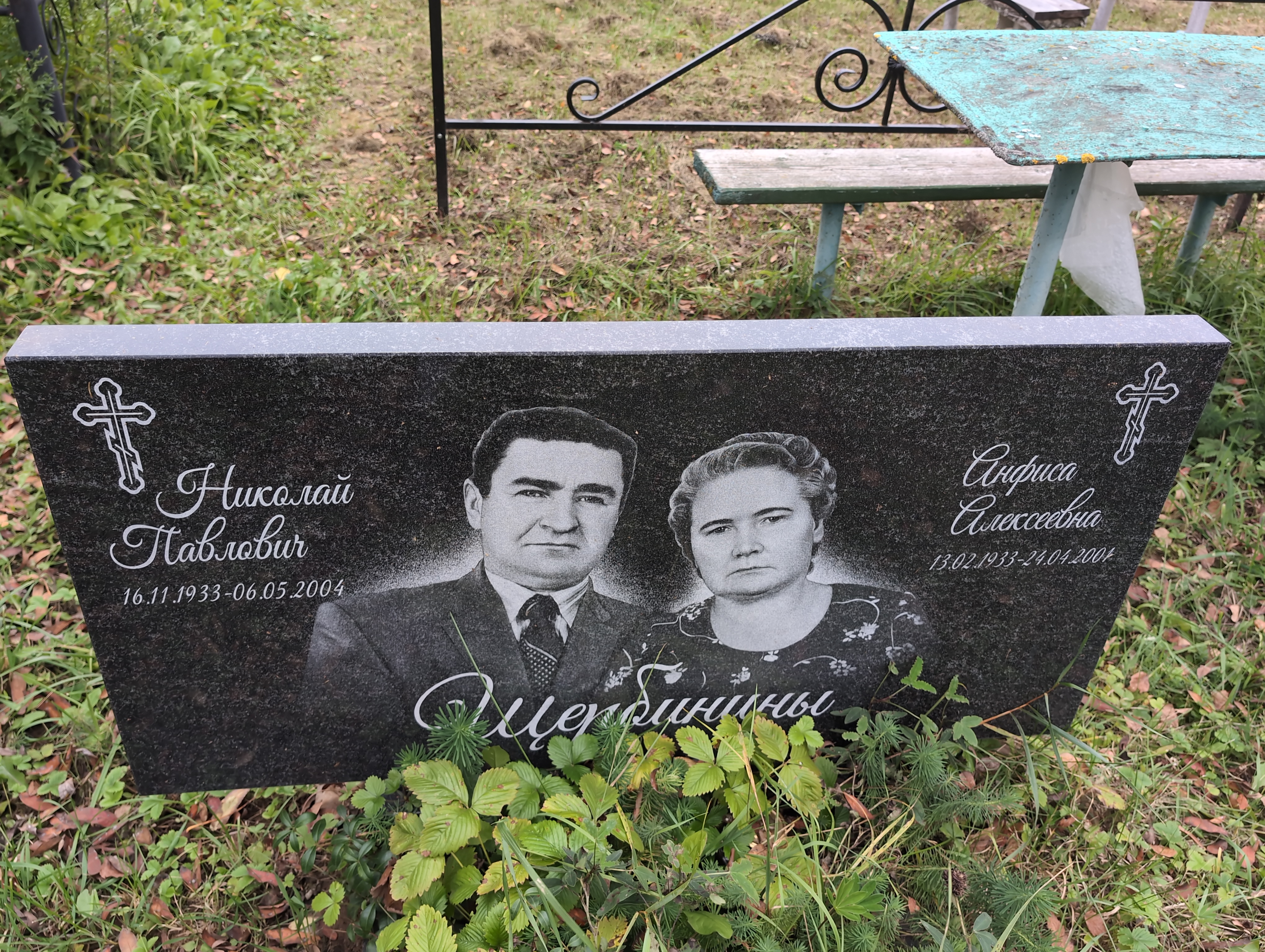 Щербинина Анфиса Алексеевна
