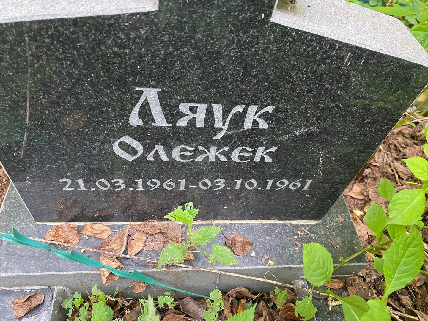 Ляук Ляук