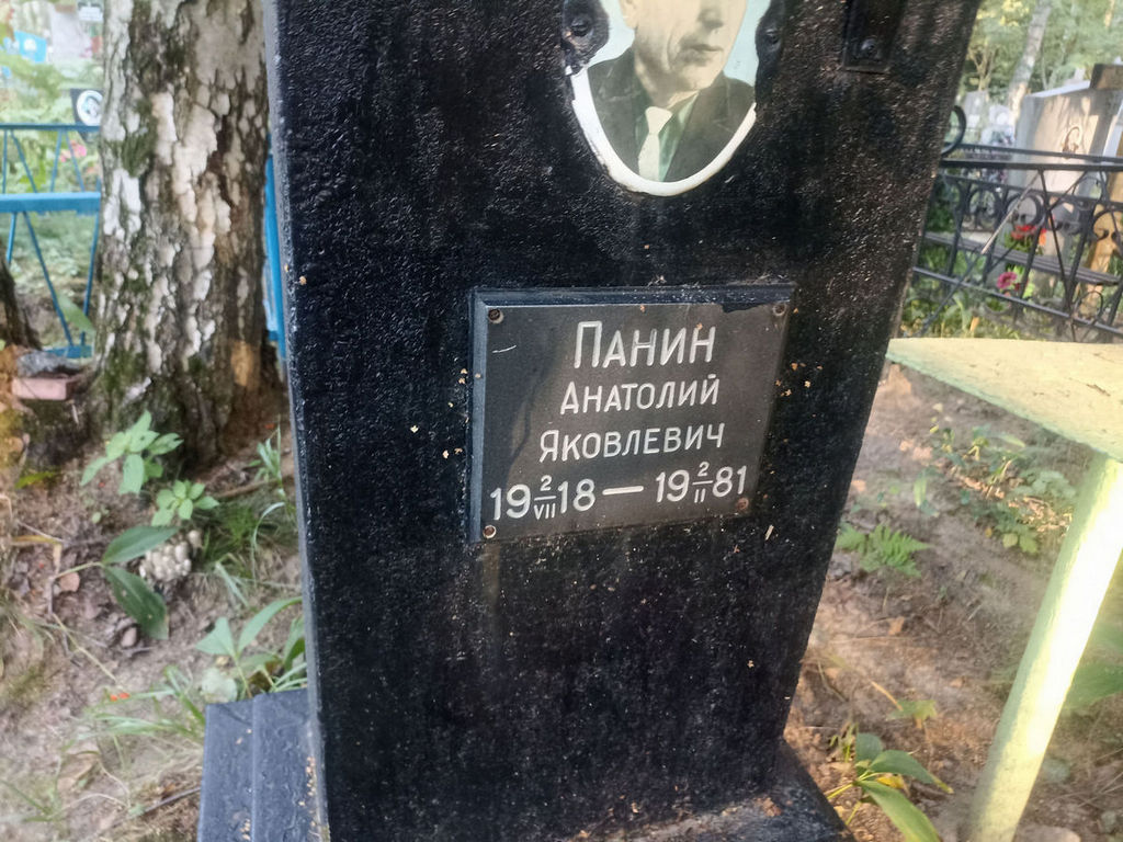 Панин Анатолий Яковлевич