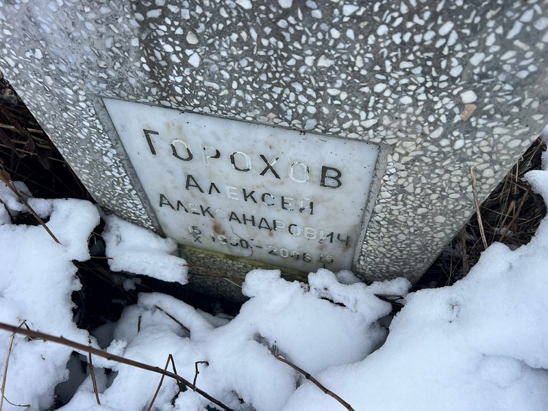Горохов