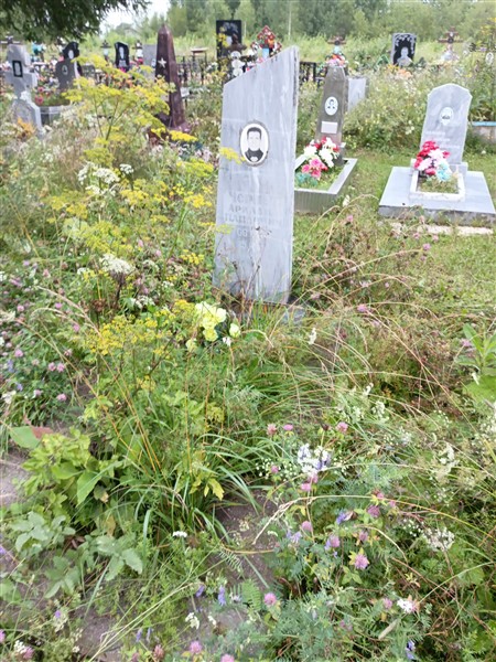 Черных Аркадий Павлович