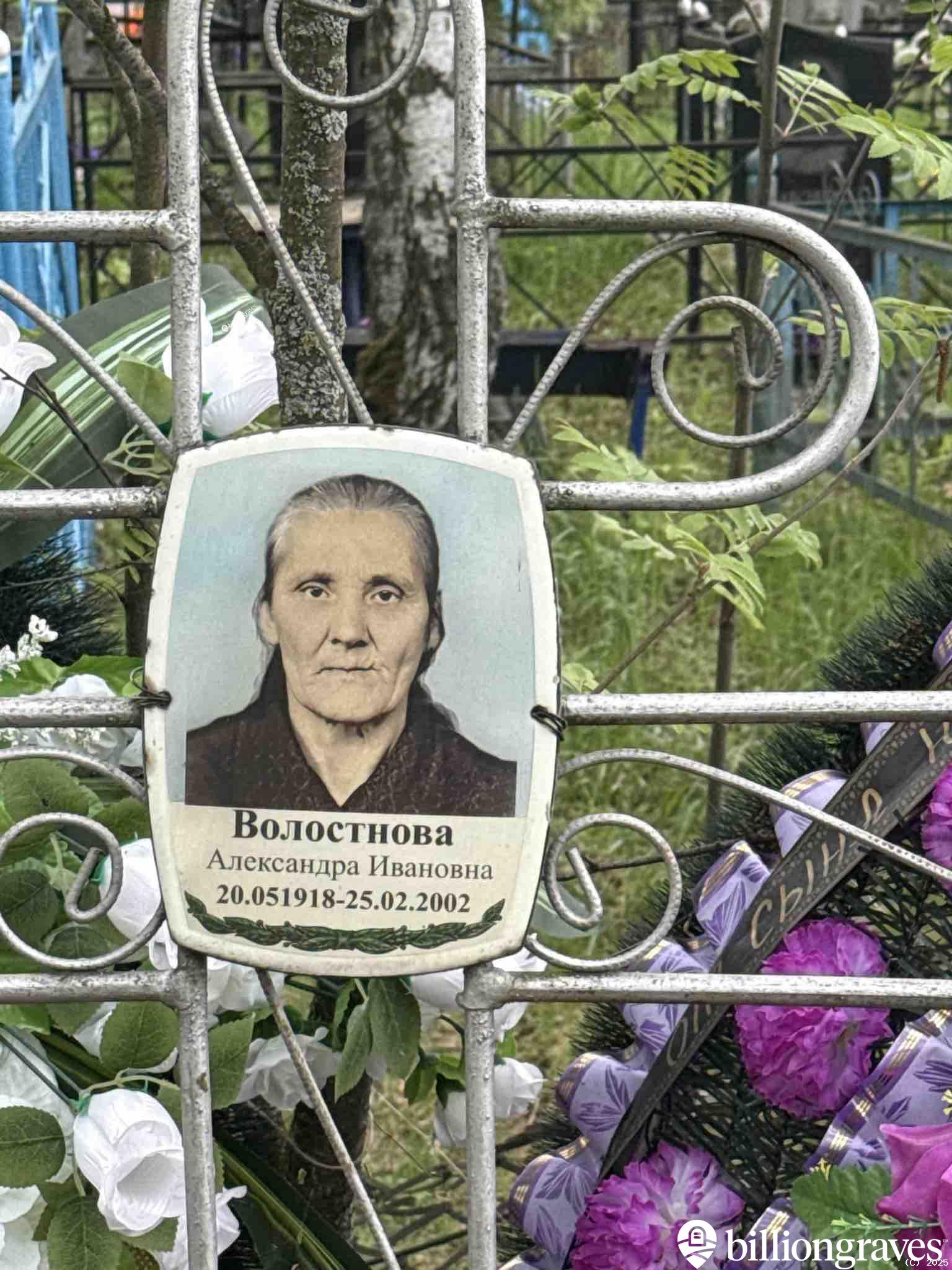 Волостнова Александра Ивановна