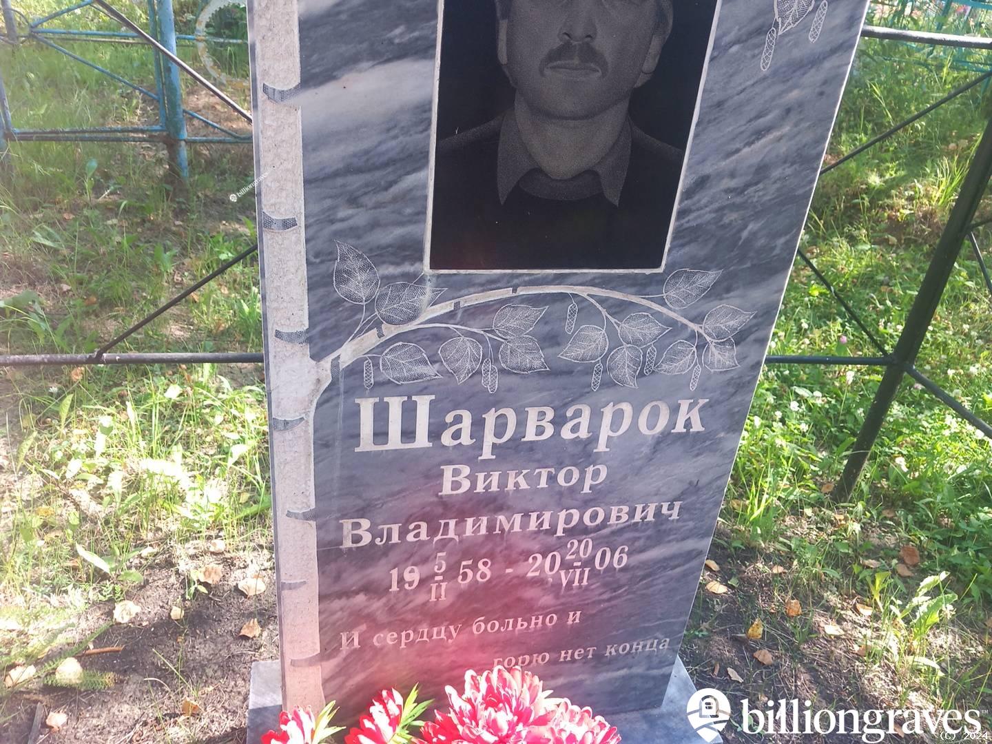 Шарварок Виктор Владимирович