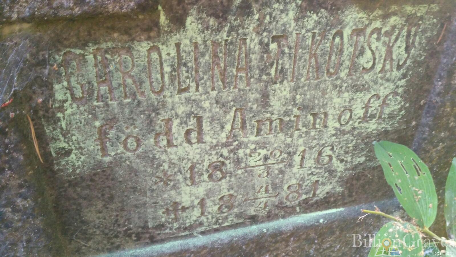 Tikotsky (Aminoff) Carolina