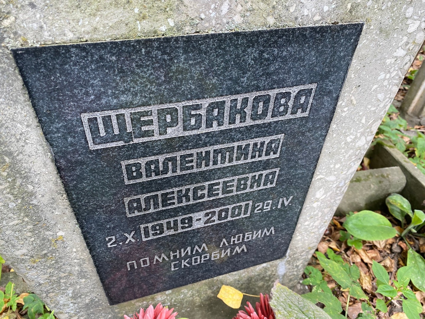 Щербакова