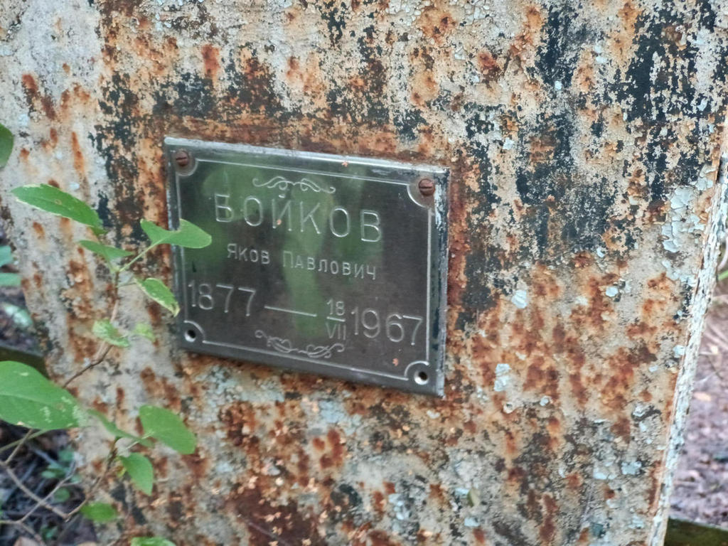 Войков Яков Павлович