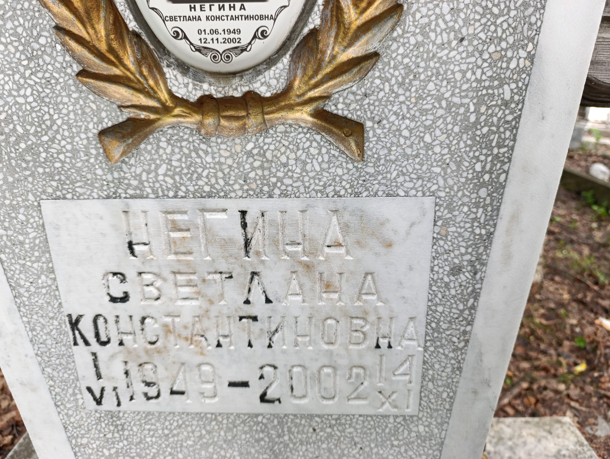 Негина Светлана Константиновна