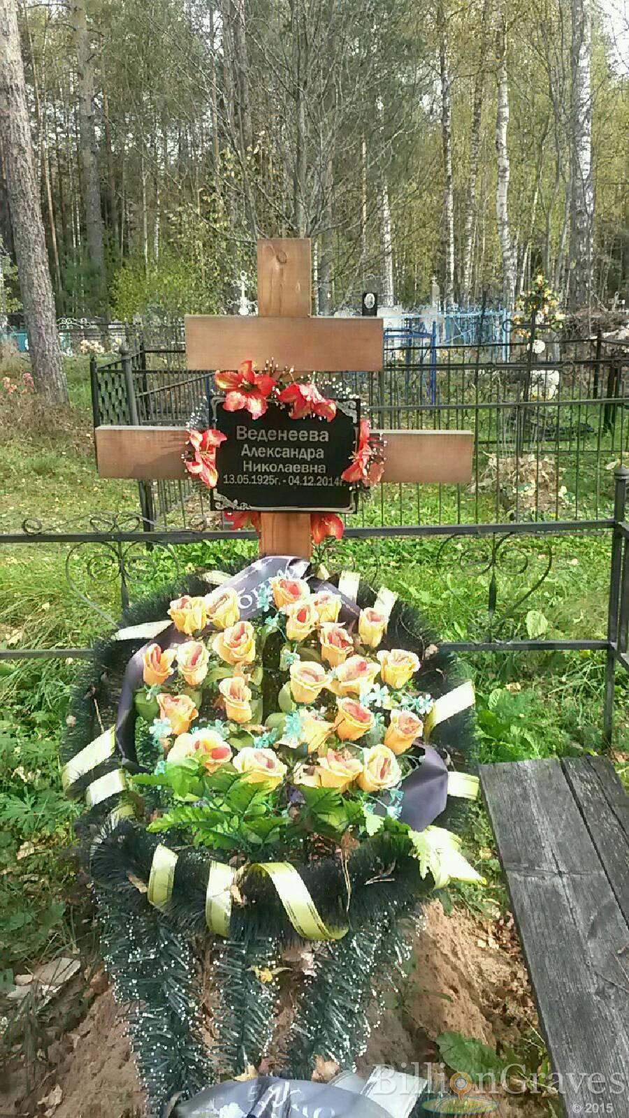 Веденеева Александра Николаевна