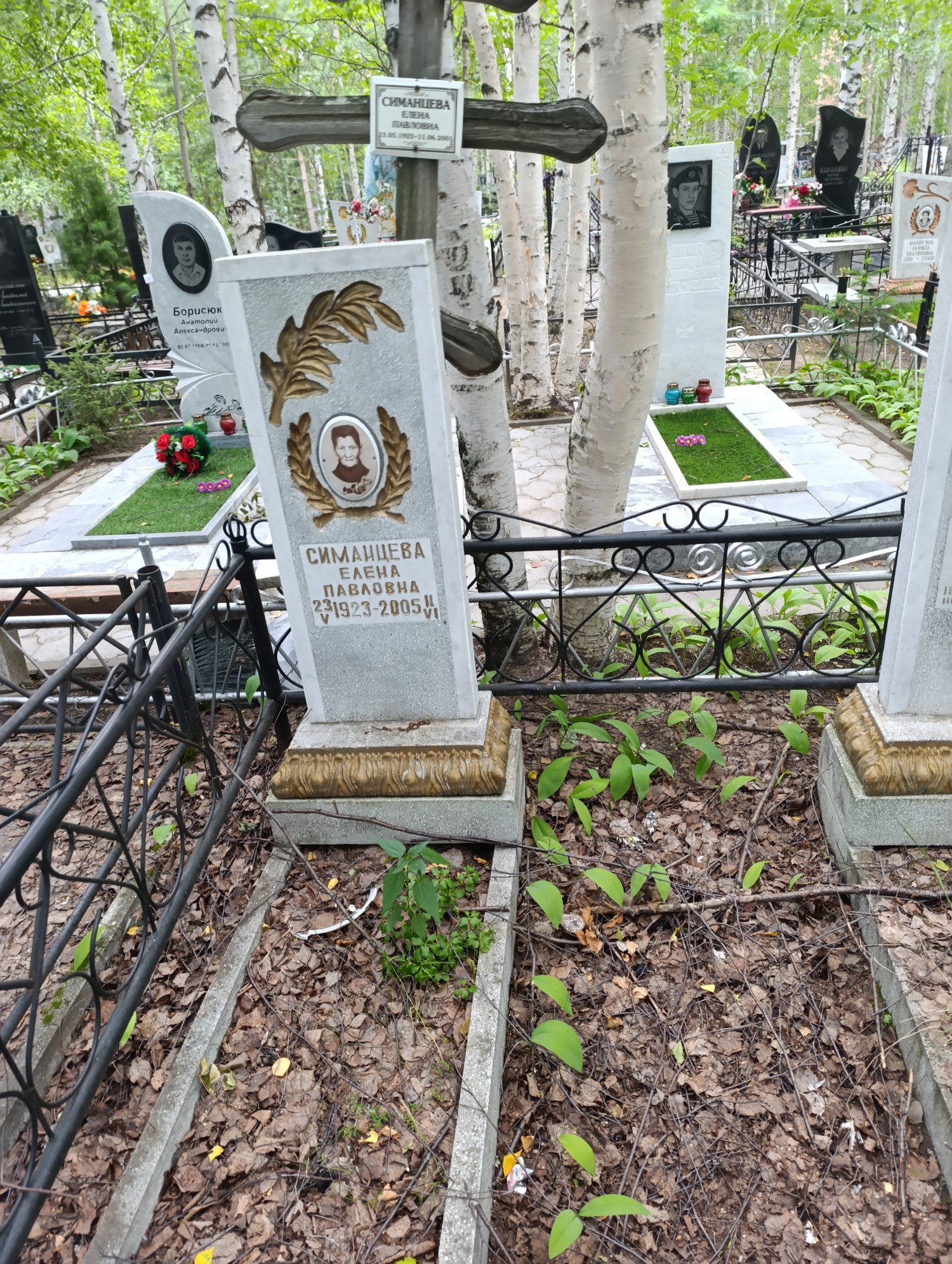 Симанцева Елена Павловна