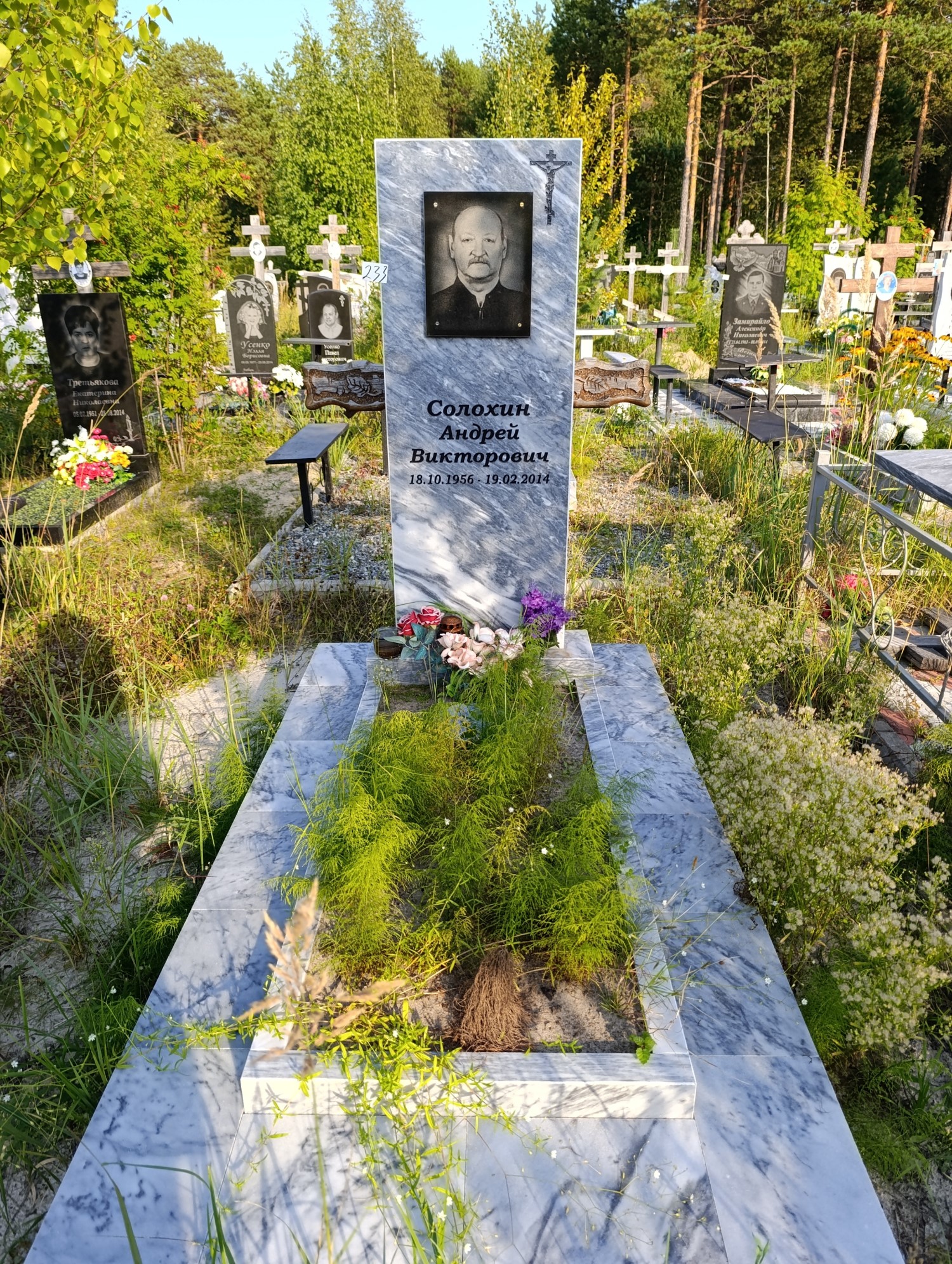 Солохин Андрей Викторович