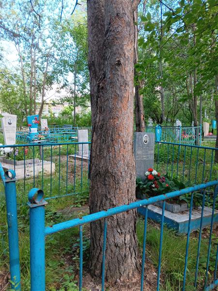 Стефановский Борис Александрович