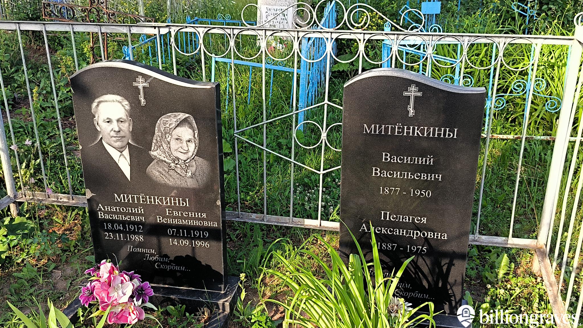 Митёнкина Евгения Вениаминовна
