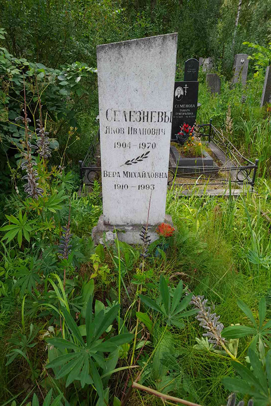 Селезнев Яков Иванович