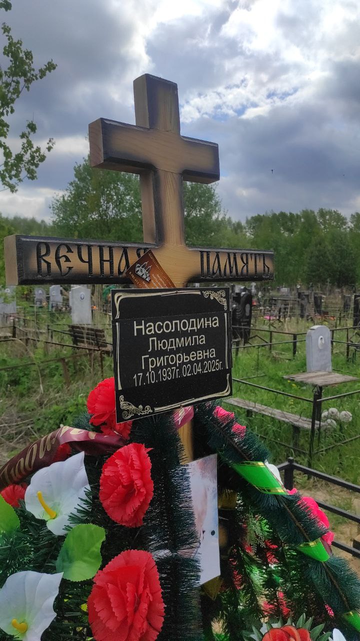 Насолодина