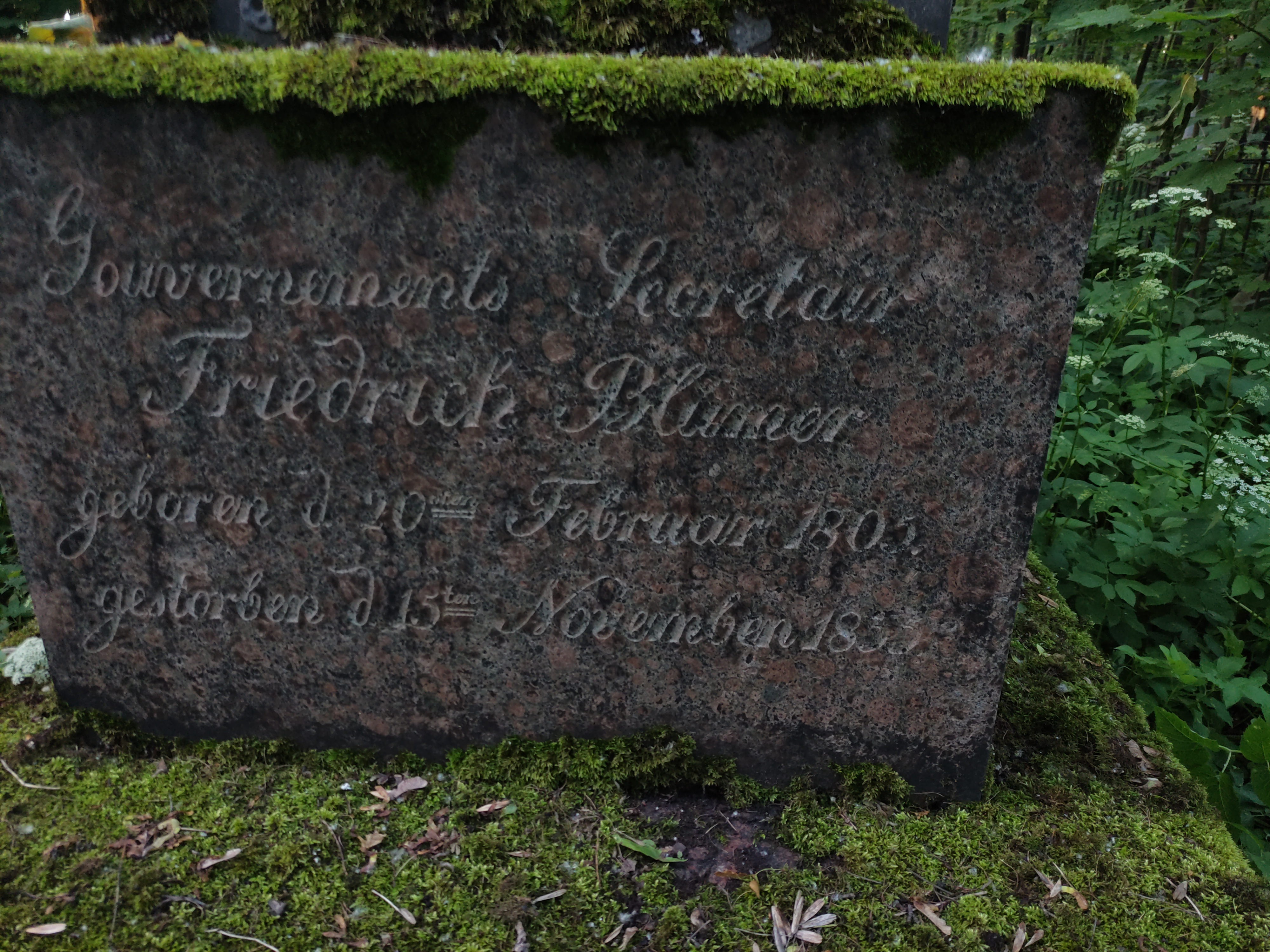 Blumer Friedrich