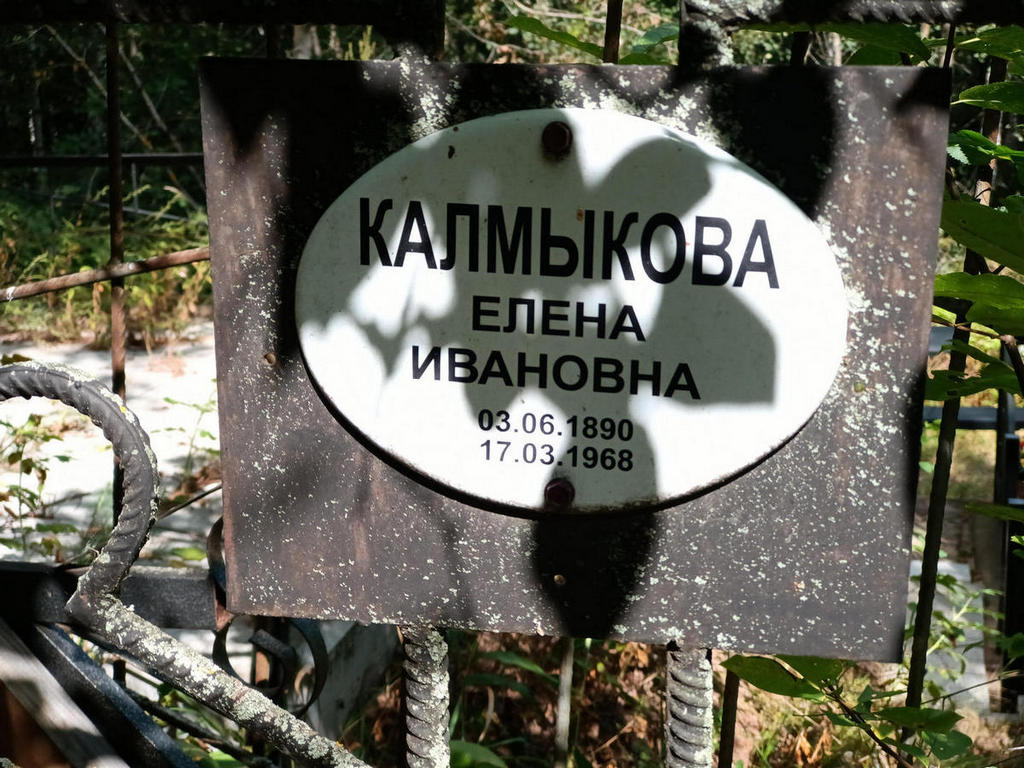 Калмыкова Елена Ивановна