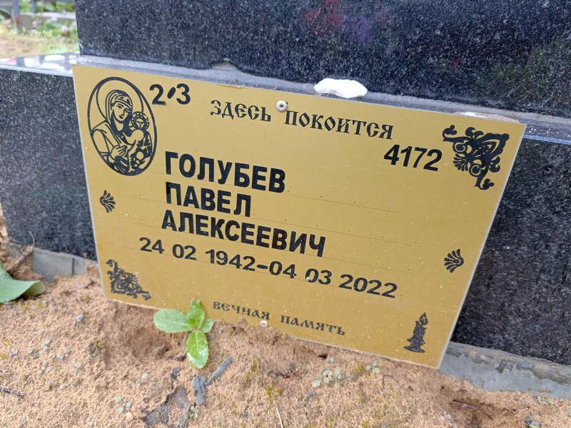 Голубев
