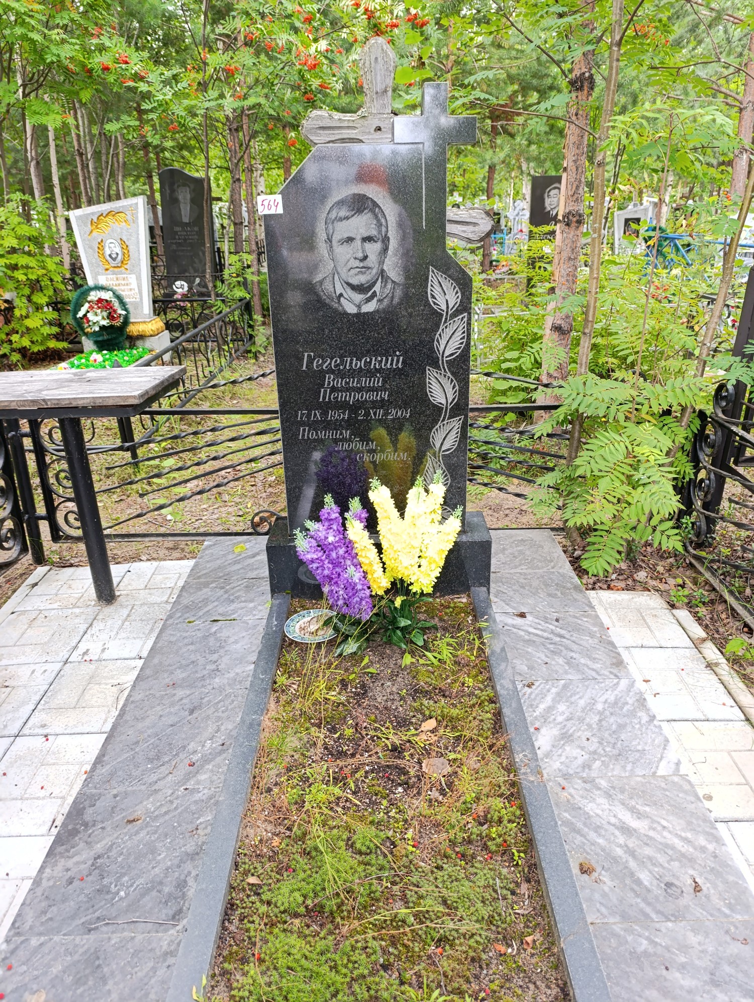 Гегельский Василий Петрович