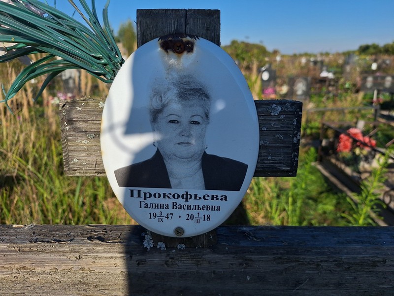 Прокофьева