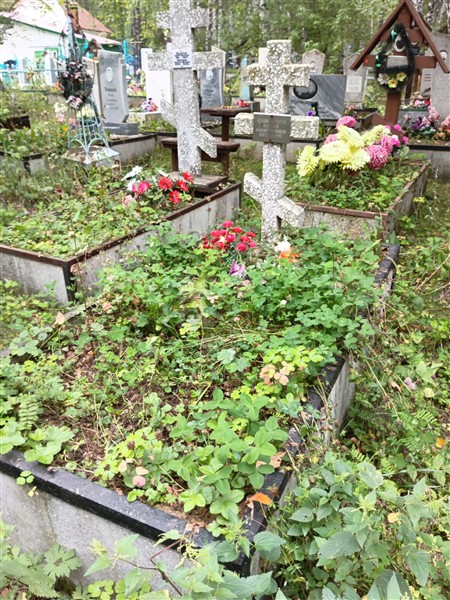 Кошкарова Ксения Илларионовна