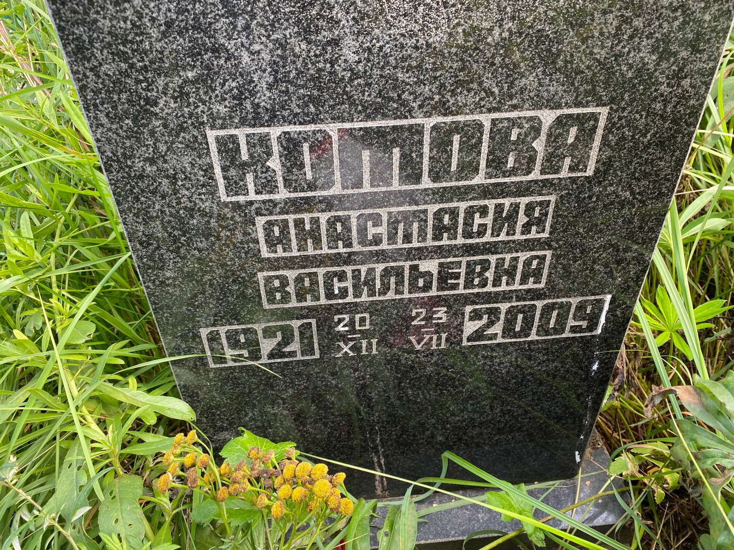 Котова Анастасия Васильевна
