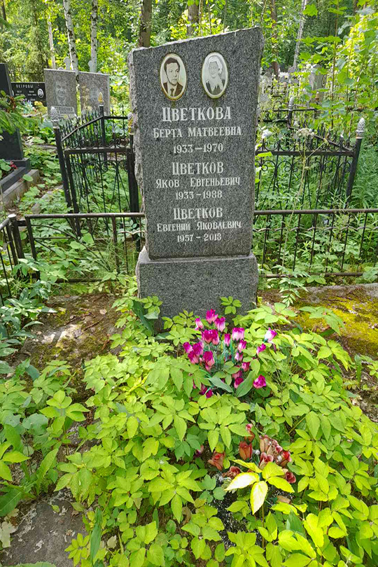 Цветков Яков Евгеньевич