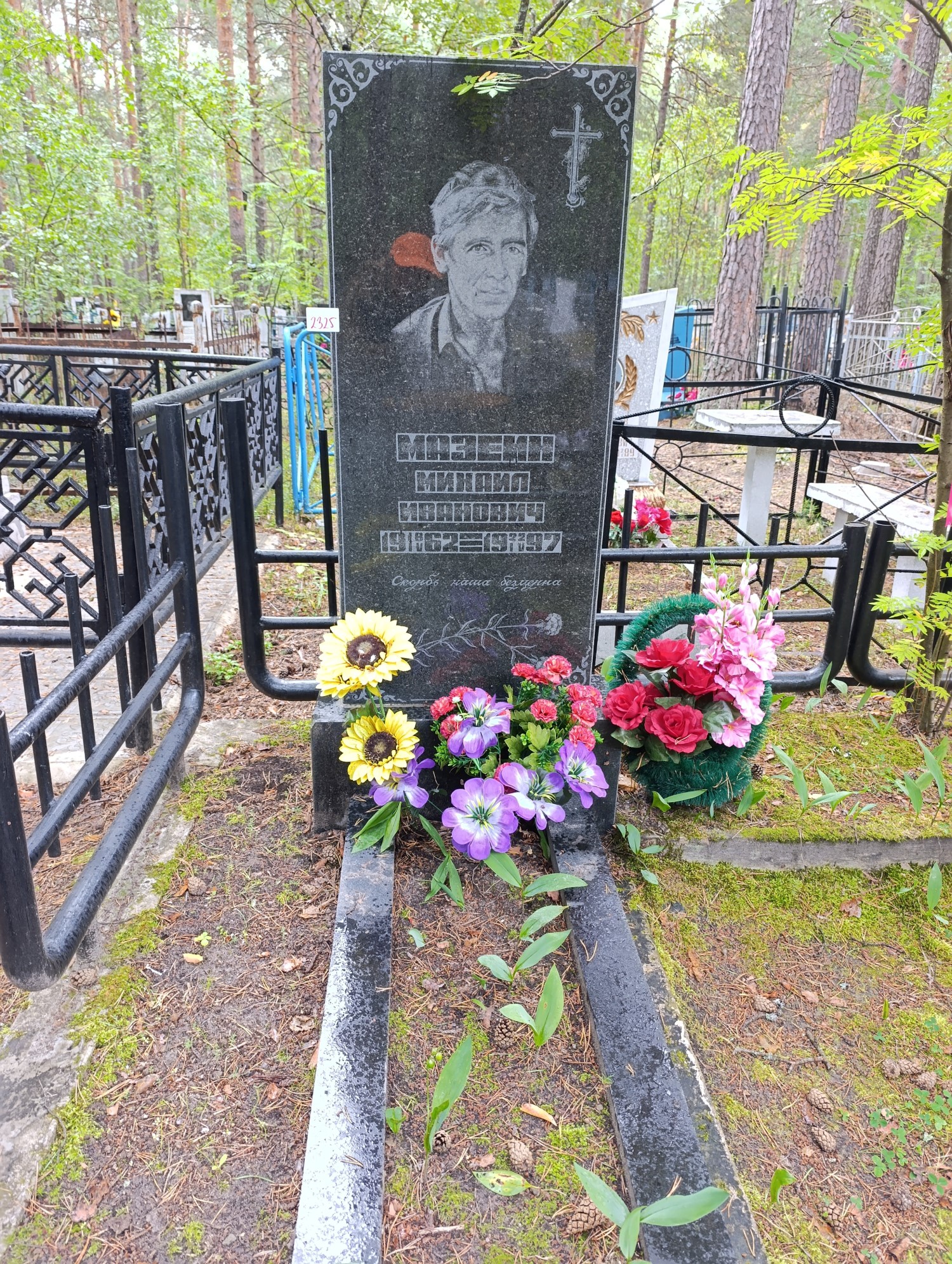 Мазеин Михаил Иванович
