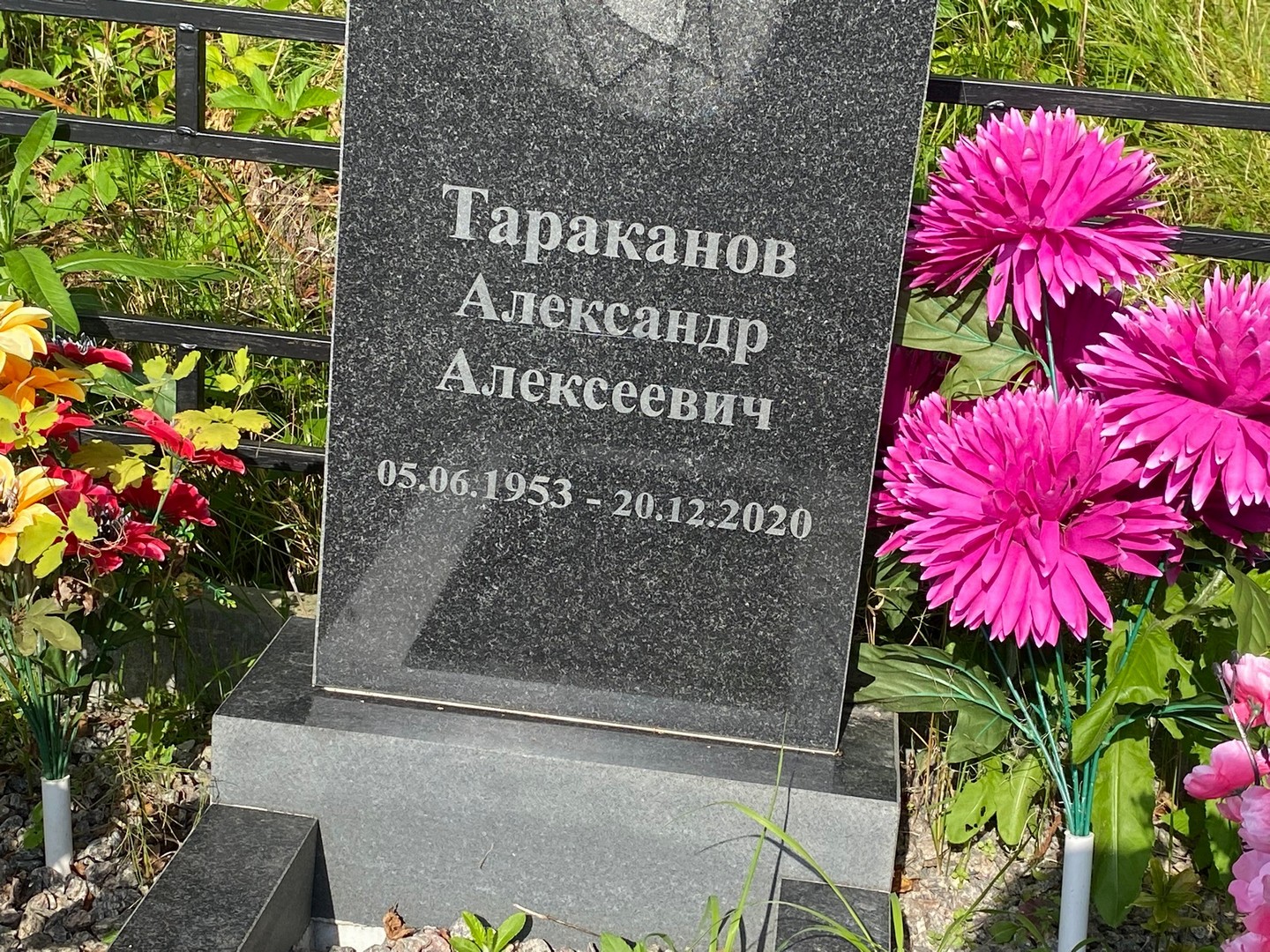 Тараканов