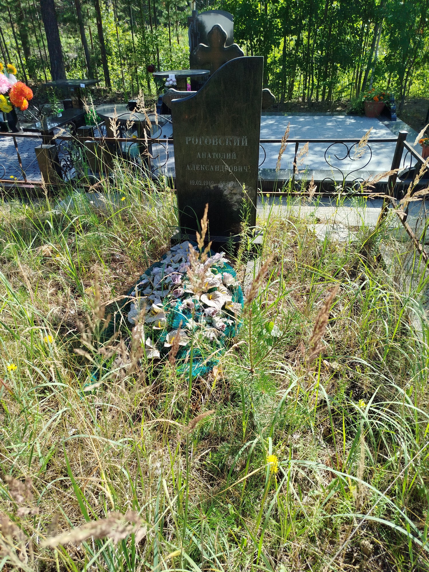 Роговский Анатолий Александрович