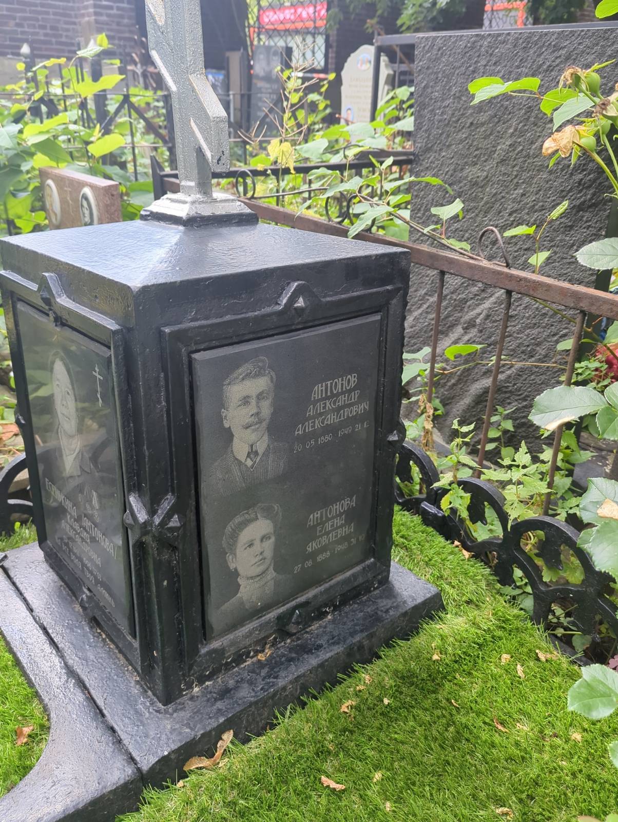 Антонова Елена Яковлевна