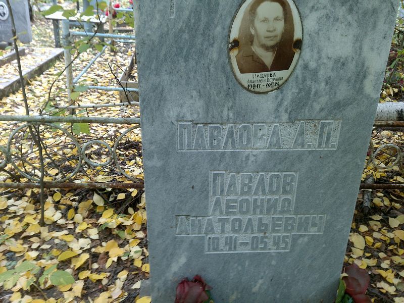 Павлова Анастасия Петровна