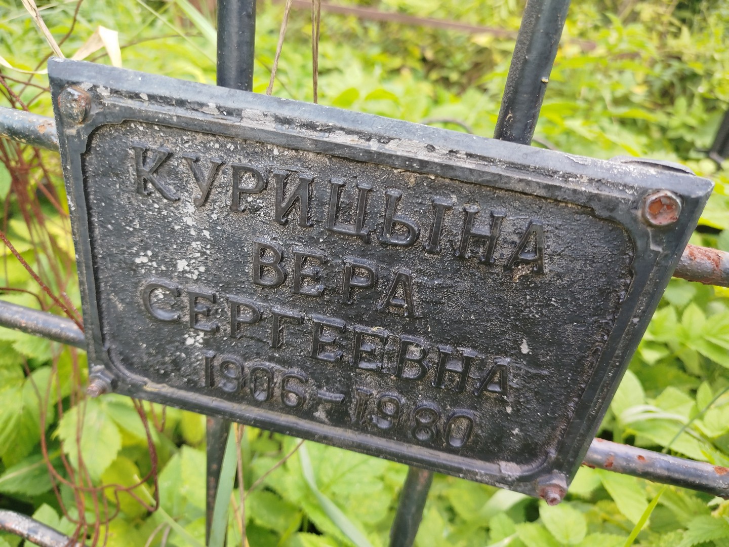 Курицына